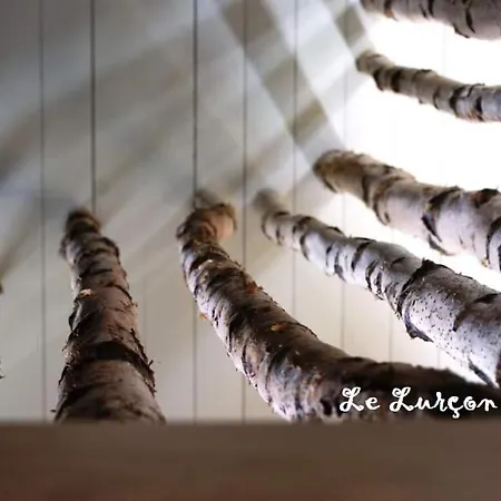 Le Lurçon Et La Lurcette